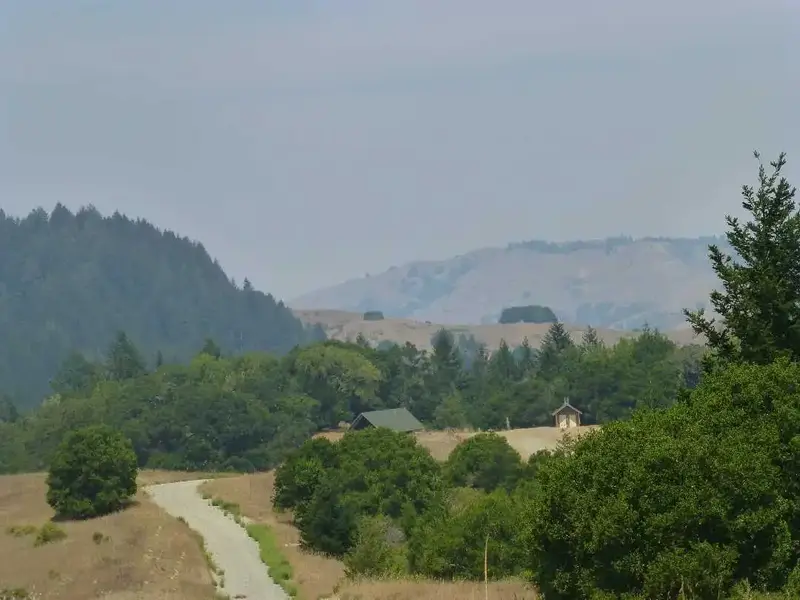 View to the West.webp