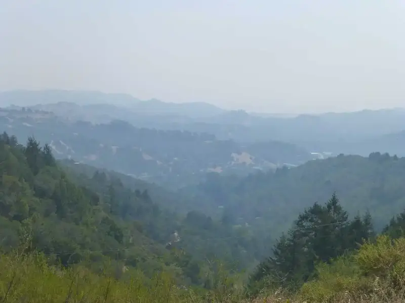 Hazy down there.webp