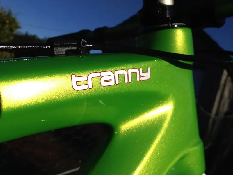 tranny.webp