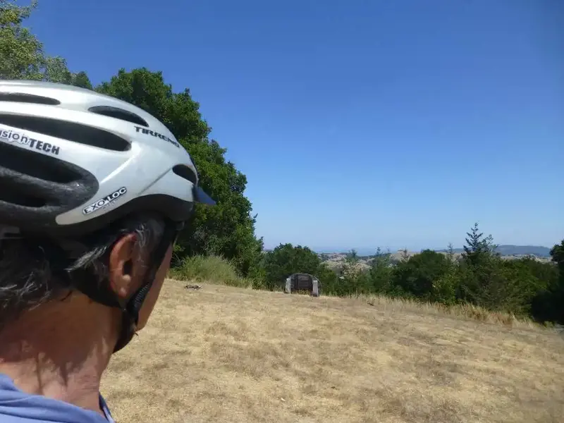 Waiting at the top.webp