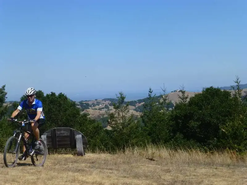 At the top.webp