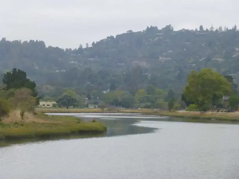 Corte Madera Creek.webp