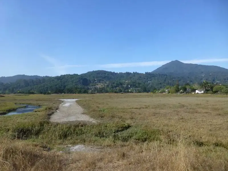 Near the Bay.webp