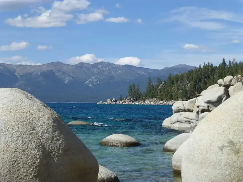 North Shore.webp