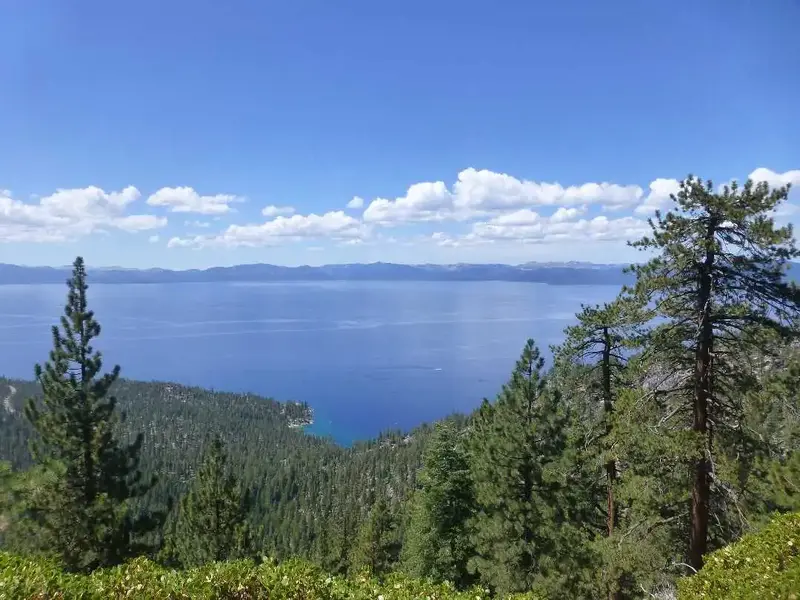 South Lake.webp