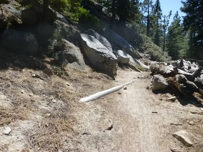 Old Flume Pipe.webp