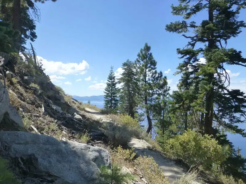 Looking South.webp