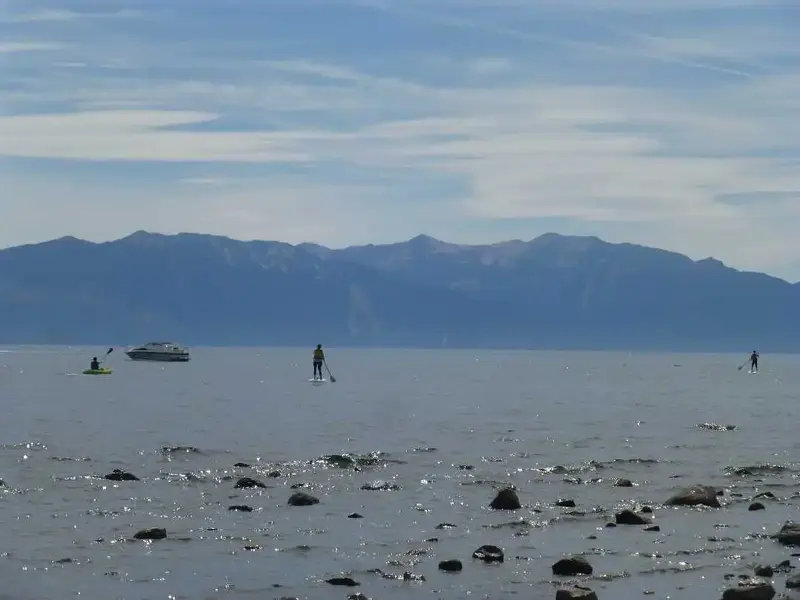 Paddle boards.webp