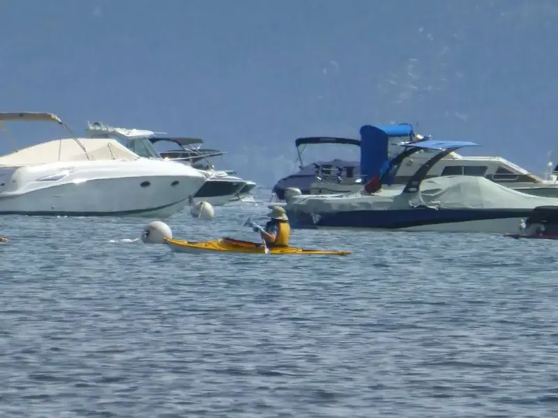 Kayaker.webp