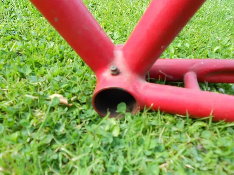 DSCN1347.webp
