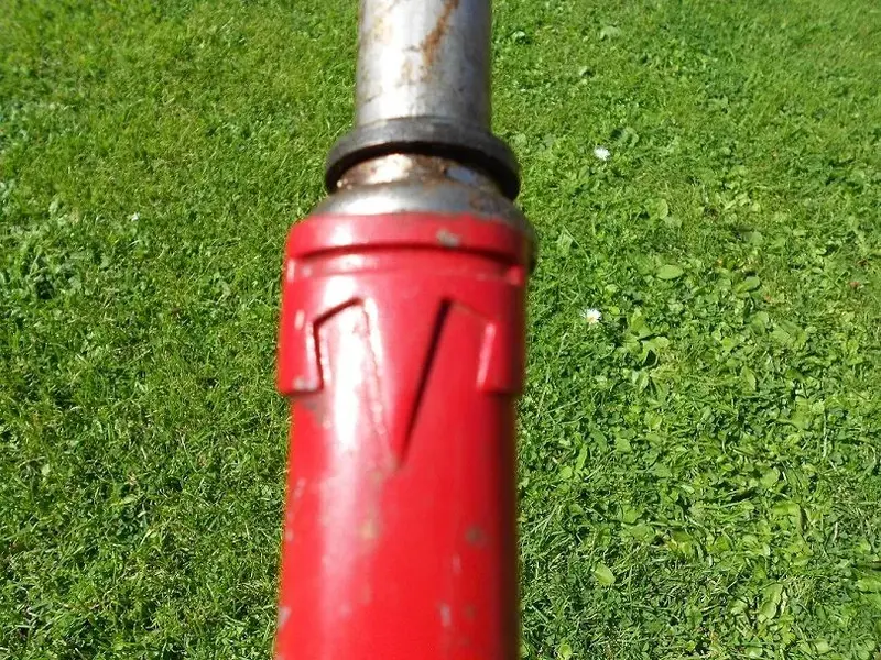 DSCN1350.webp