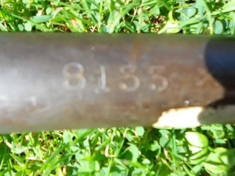 DSCN1353.webp