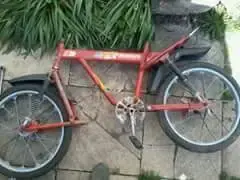 received_811806555599401.webp