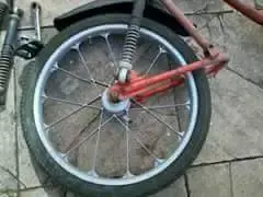 received_811806562266067.webp