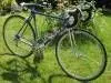 Benotto @ 100px.webp