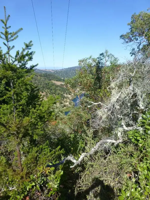 Above Phoenix Lake.webp