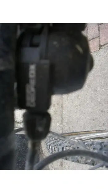 image.webp