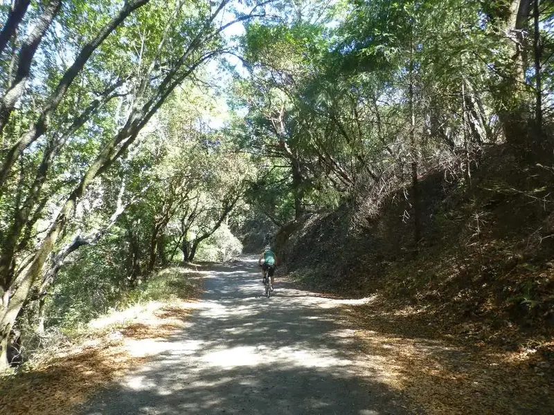 Descending Iron Springs road.webp