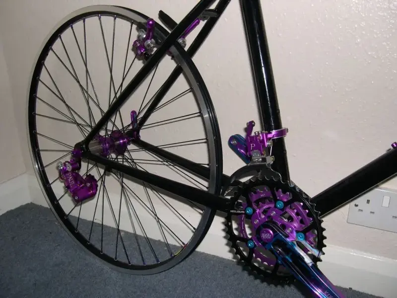 project purple 1.webp