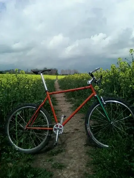 SP_A0303 (Medium) (1).webp