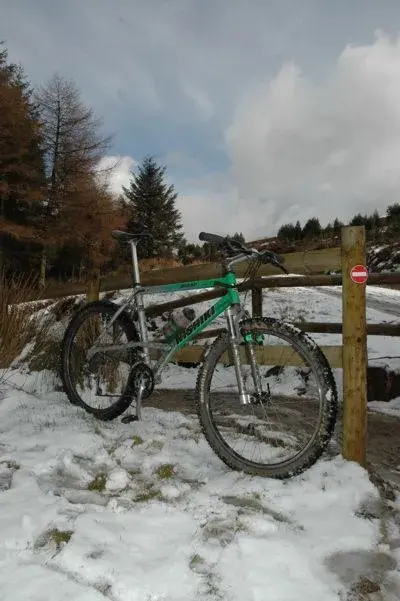 Alien Llandegla 2008.webp