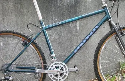 1996 Kilauea size 18 turquoise frame.webp