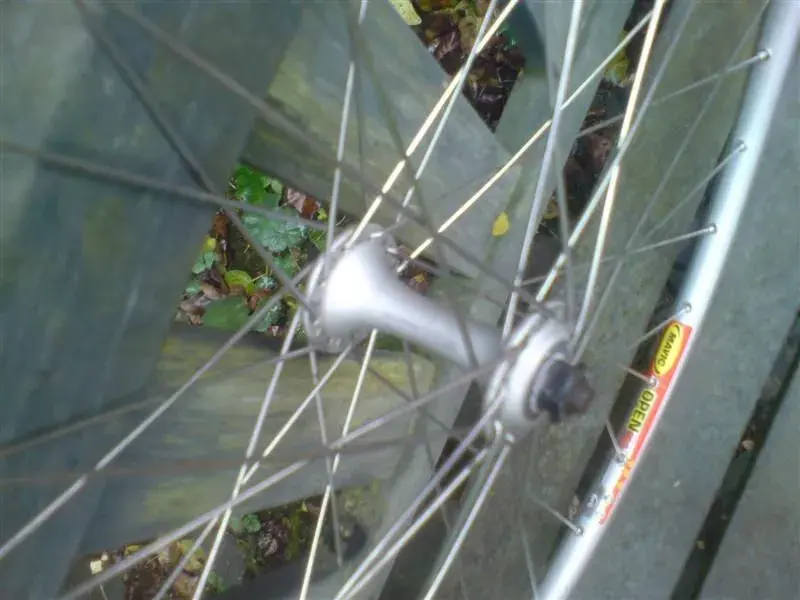2008_1116Ritchey0022 (Medium).webp
