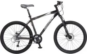 giant terrago 2008.webp
