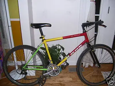 1991 Explosif Pro size 19 rasta.webp