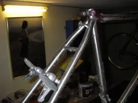 IMGP5130.webp