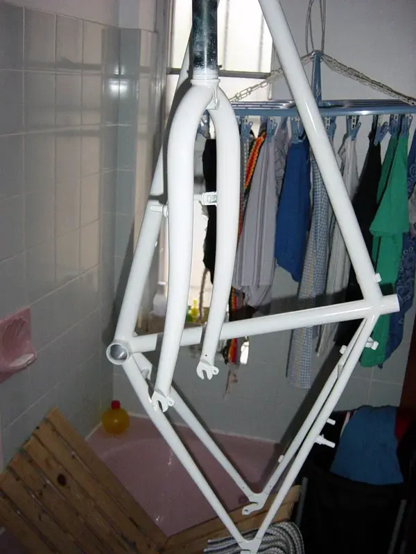 The Washing.webp
