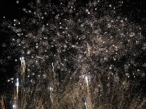 fireworks3.webp