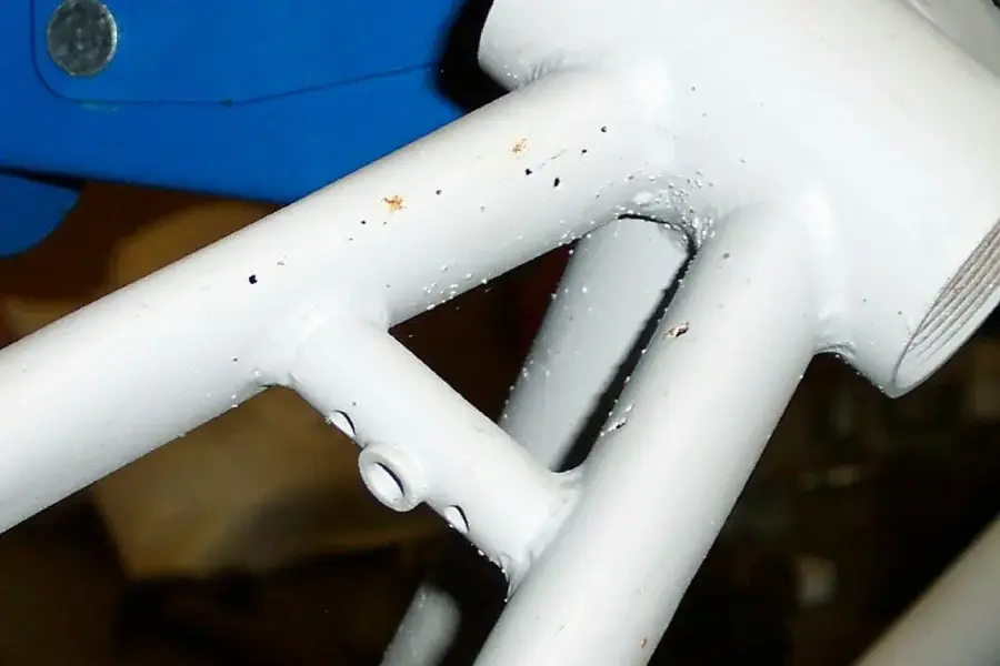 my pictures0002 (3).webp