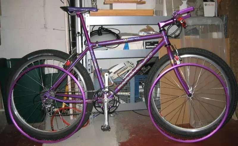 all-purple.webp