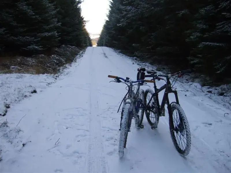 Winter Wonderland!.webp