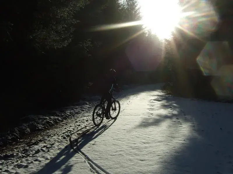 Into the light.webp