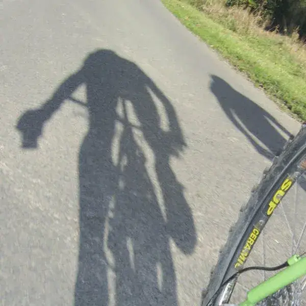 Shadows.webp