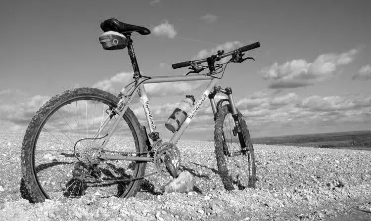 South Downs.webp