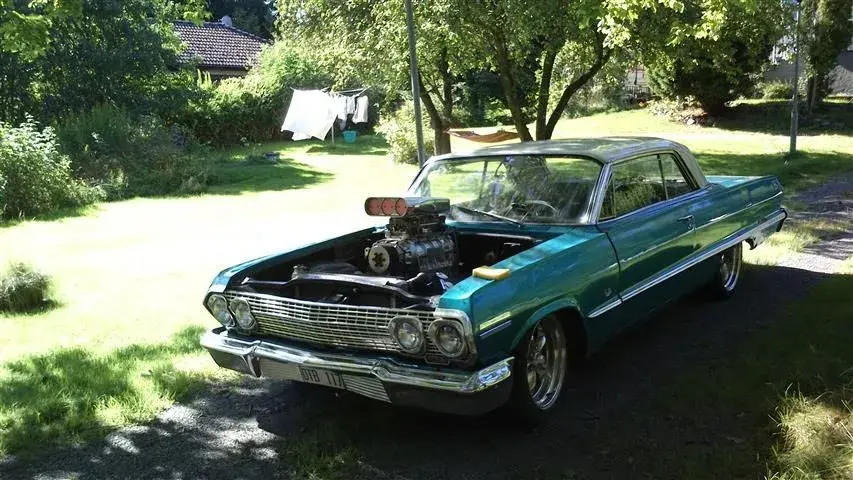 impala.webp