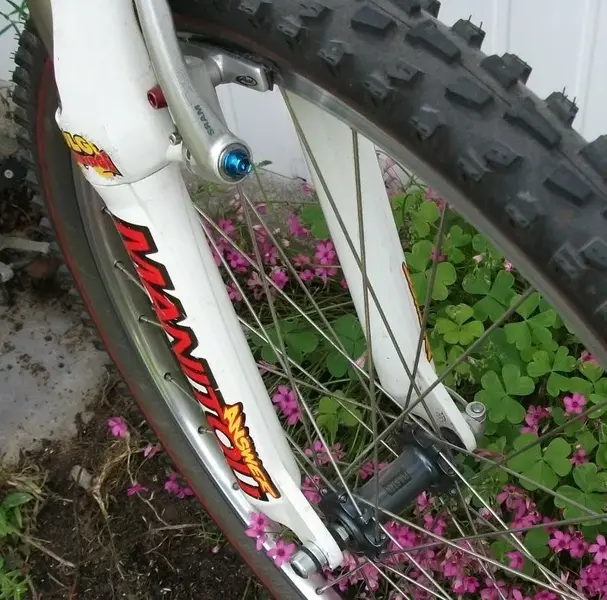 DSCF3266.webp