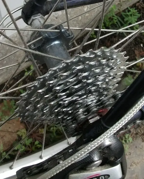 DSCF3273.webp