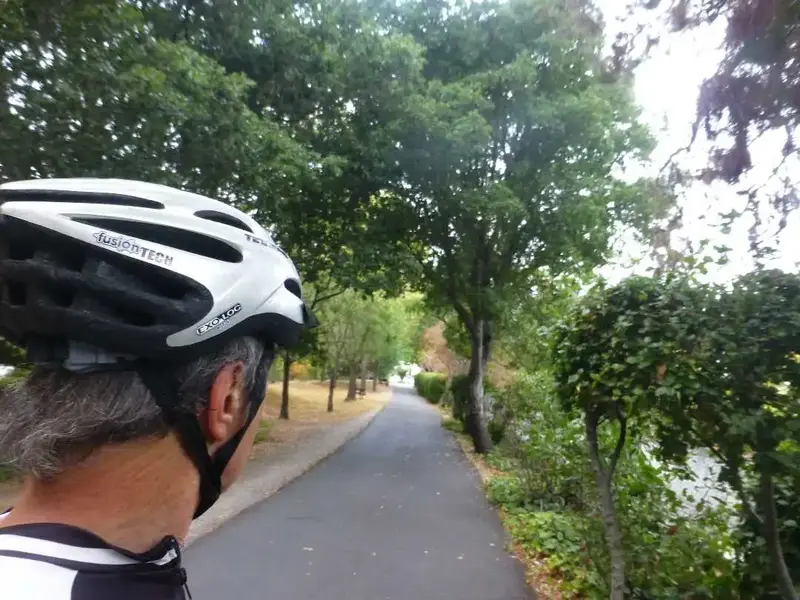 Ross bike path.webp