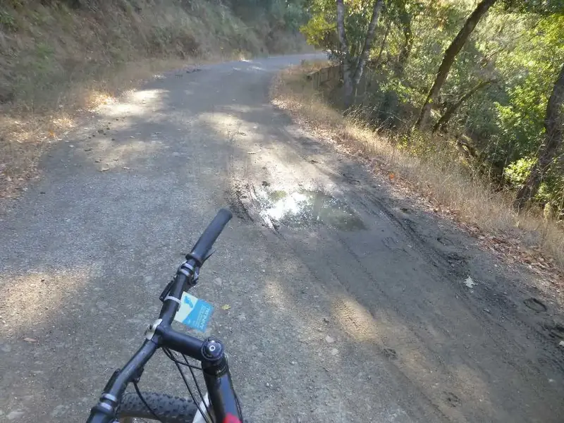 Puddle RarisMarinis.webp