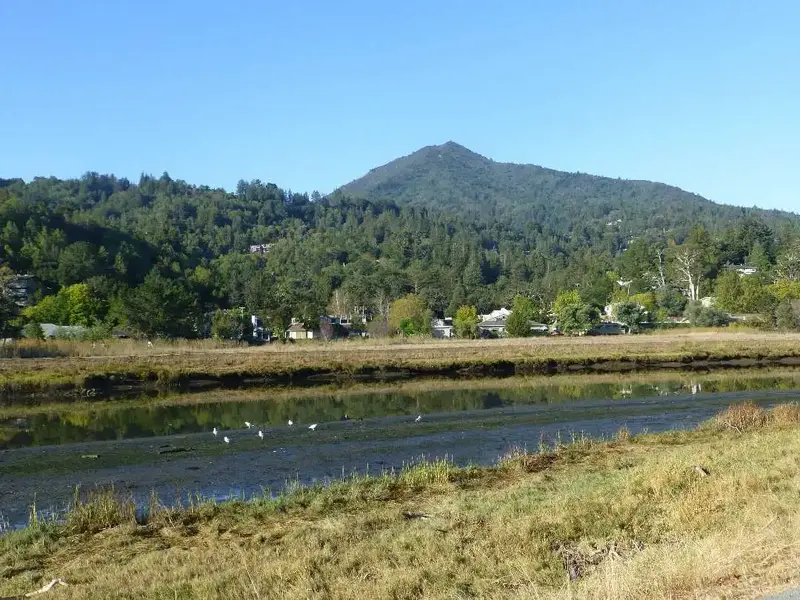 Water, birds, and Tam.webp