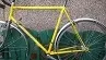 Frame.webp