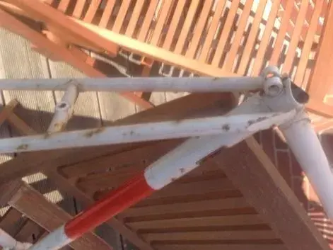 image.webp