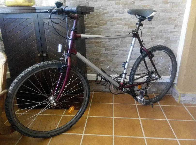 Raleigh Dynacurve.webp
