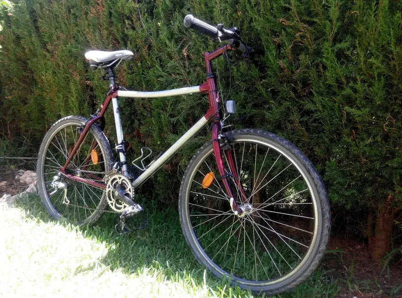Raleigh2.webp