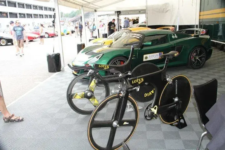 lotus 1.webp