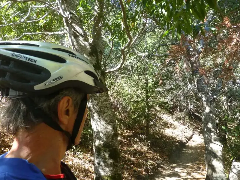 On today's trail.webp
